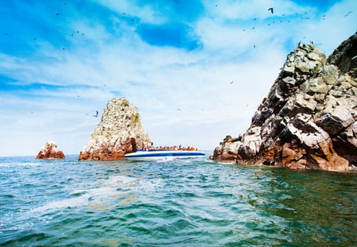 Tour Islas Ballestas desde Ica