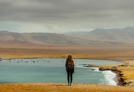 Tour Reserva Nacional de Paracas desde Paracas