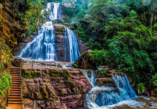 Selva Central Básico 2D 1N